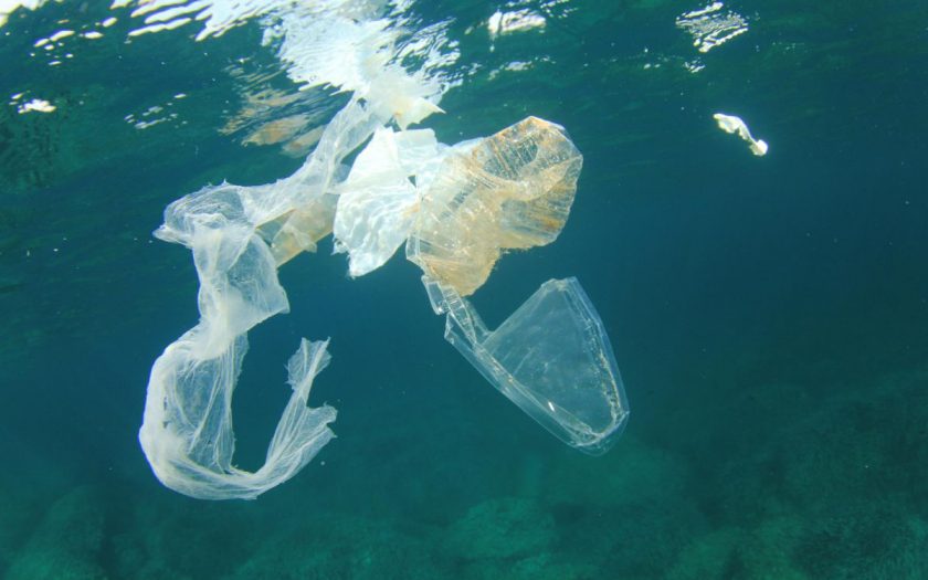 Plastic in zee