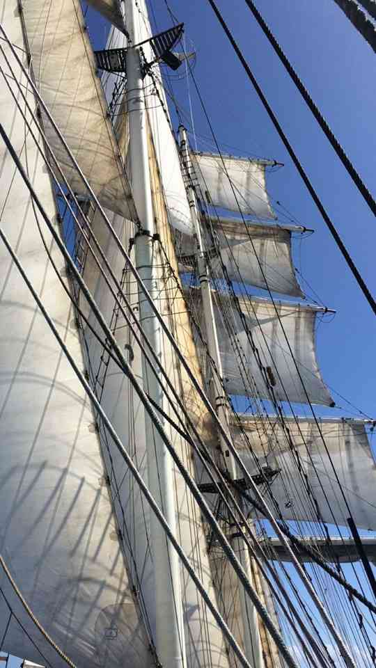 De mast van het schip